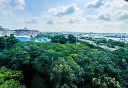 Blk 459 Teck Ghee Grandeur (Ang Mo Kio), HDB 5 Rooms #596611191